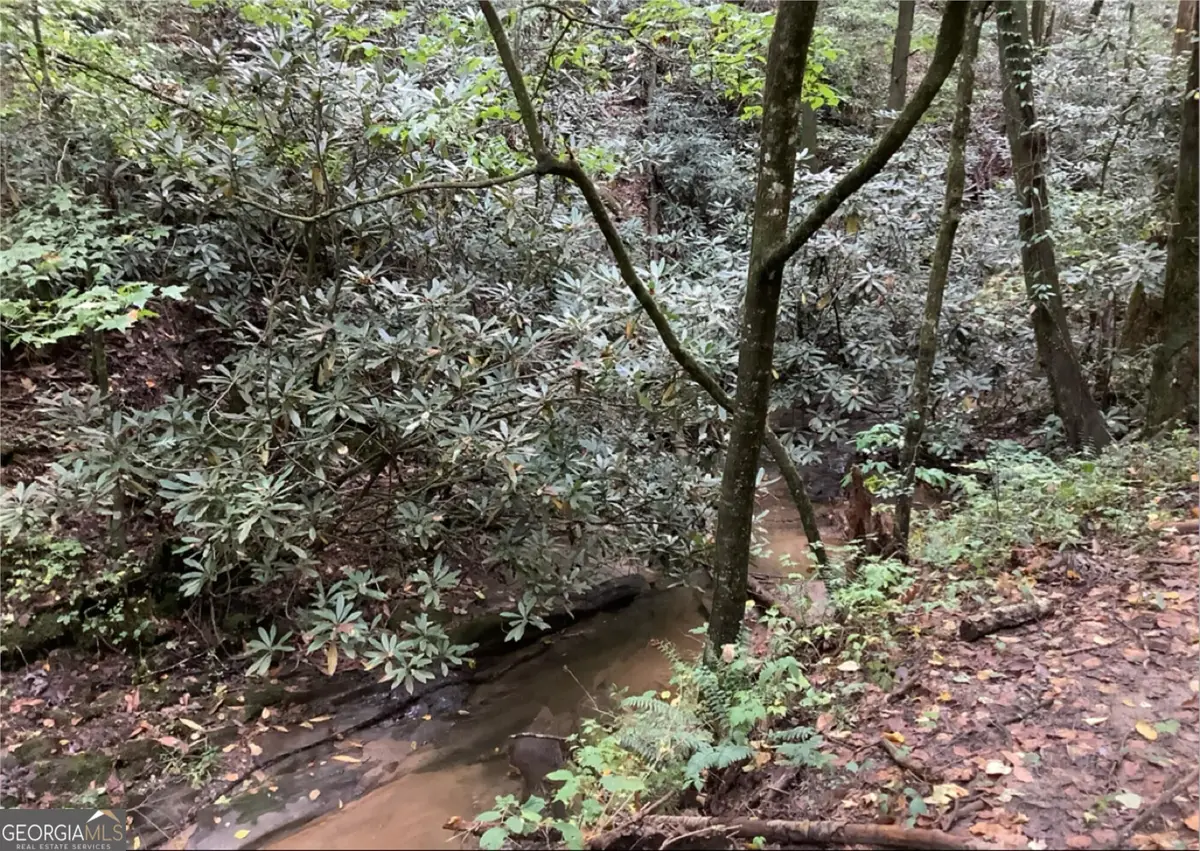 0 Laurel Overlook Road, Ellijay, GA 30540 - #1