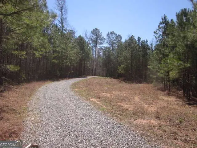 000 Hwy 136 -16.62 Acres W, Talking Rock, GA 30175 - #3