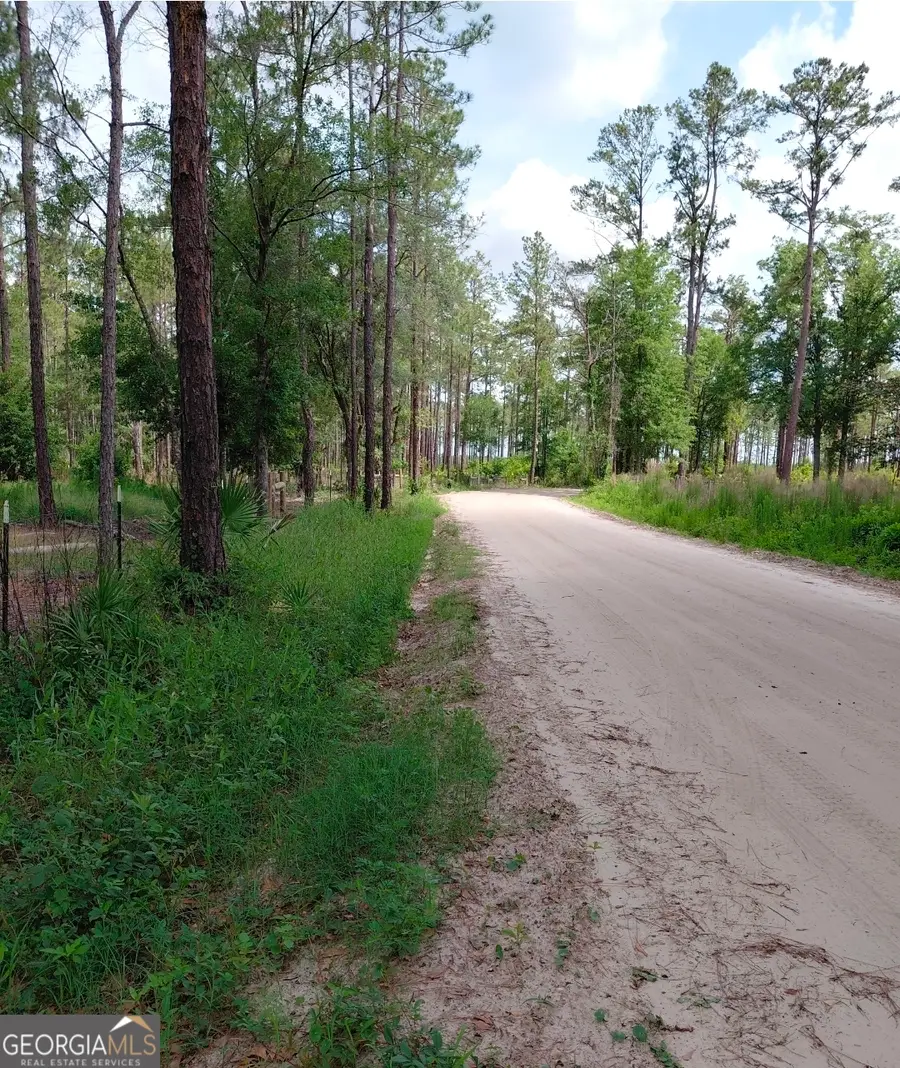 339 Doc Rider Road, Folkston, GA 31537 - #3