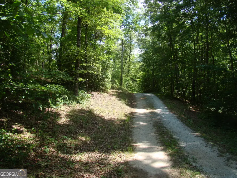 38 Morrisons Point Dr, Wedowee, AL 36278 - #2