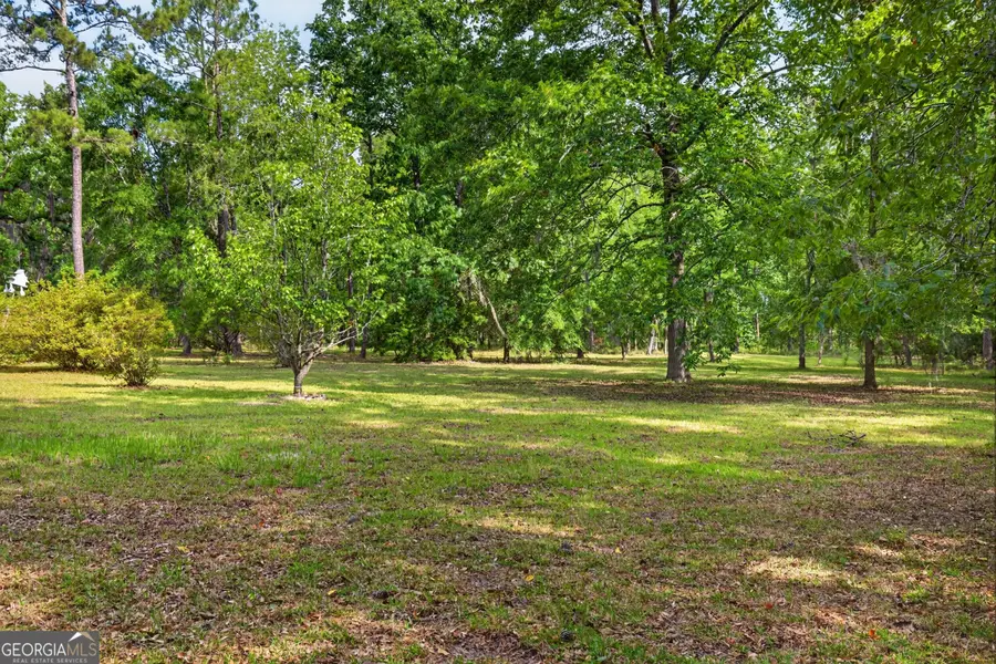 110 Douglas Loop, Rocky Ford, GA 30455 - #3