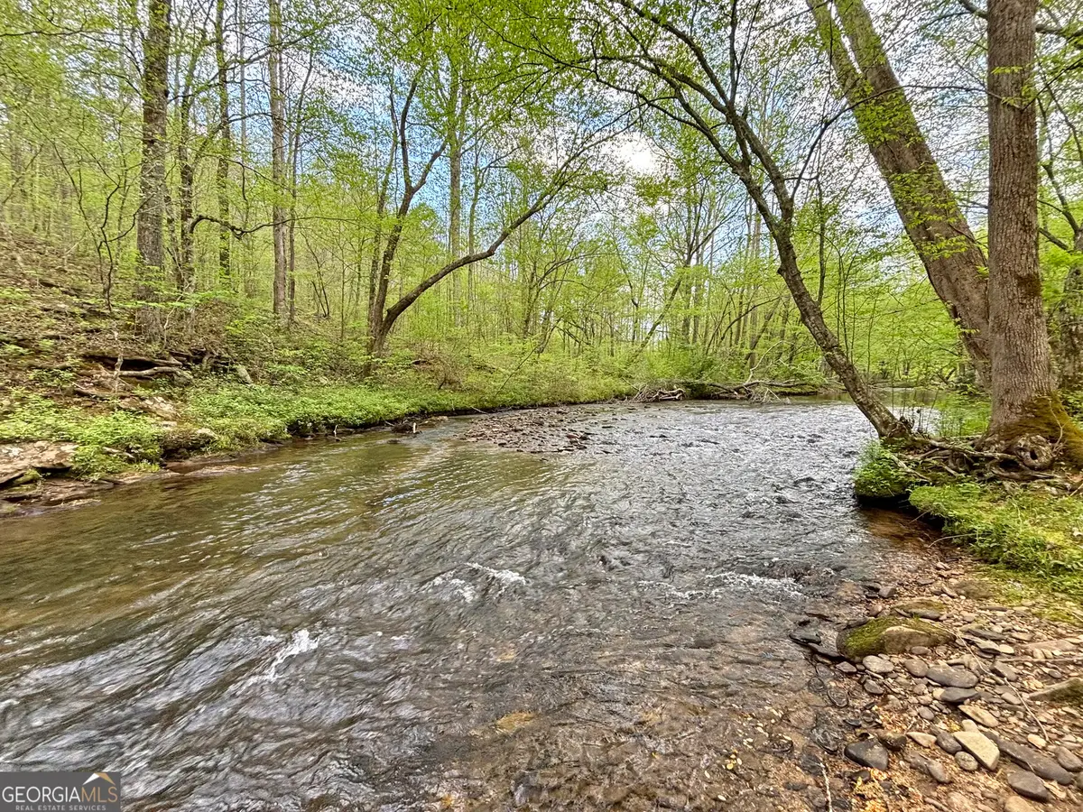 LOT 5 Spiva Cove, Blairsville, GA 30512 - #1