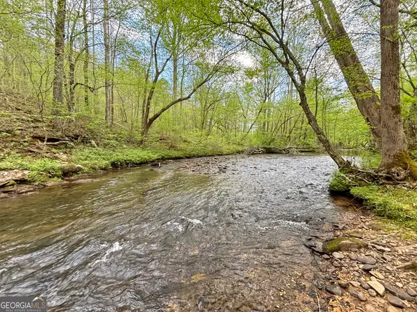 LOT 5 Spiva Cove, Blairsville, GA 30512