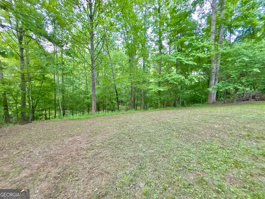 LOT 5 Spiva Cove, Blairsville, GA 30512 - #3