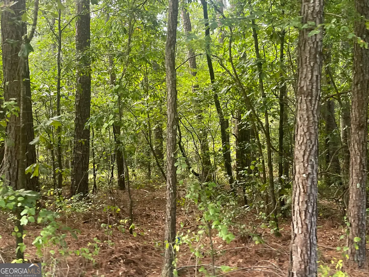 4755 Govanett Road, Powder Springs, GA 30127 - #1