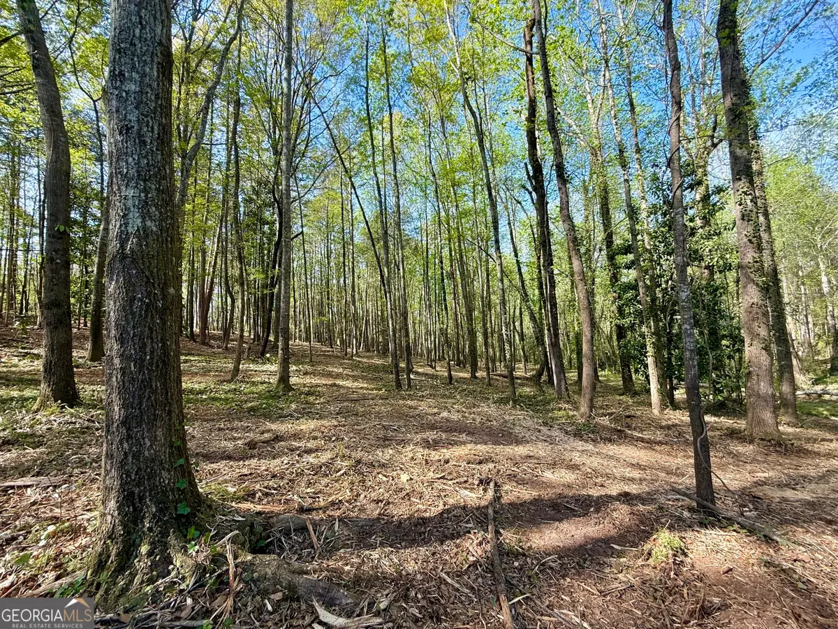422 Parkway Drive, Toccoa, GA 30577 - #1