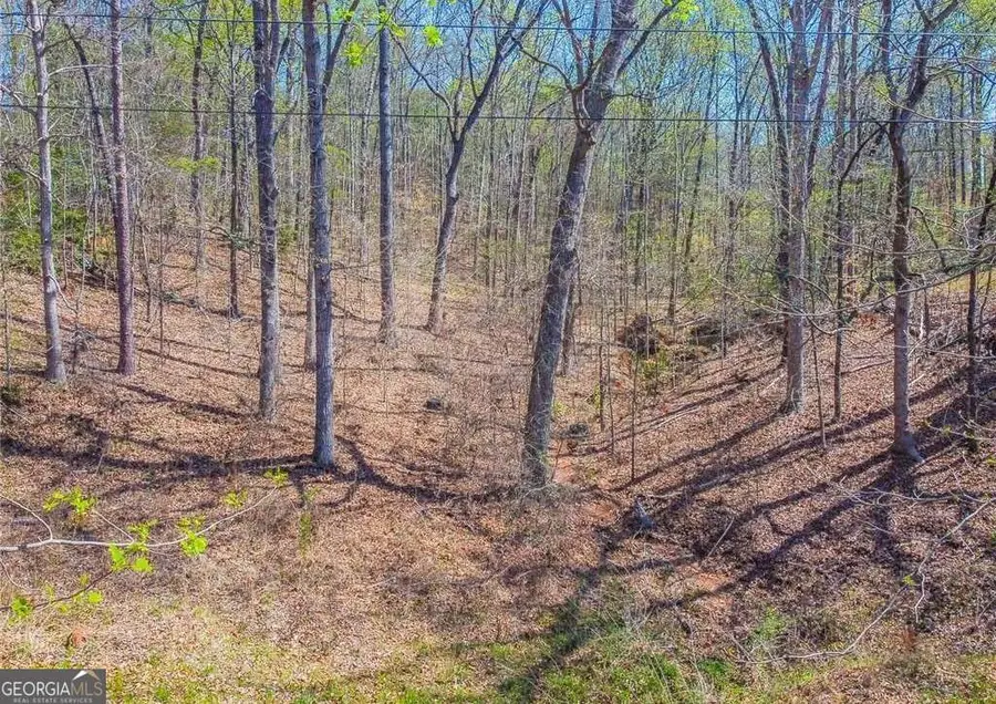 0 Arrow Lane, Lavonia, GA 30553 - #3