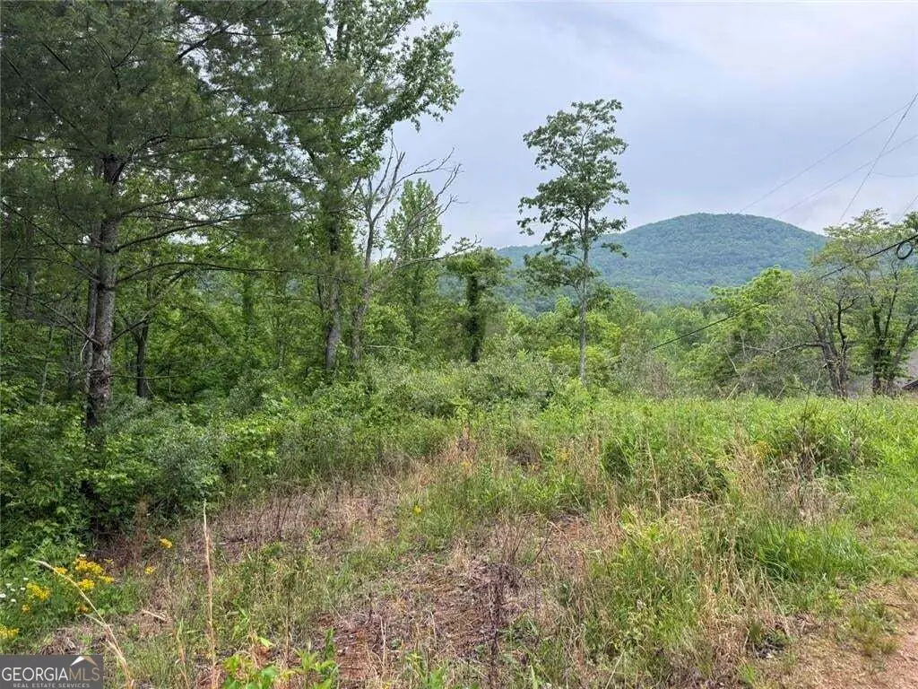 LOT 7D Meadow View Lane, Cleveland, GA 30528 - #1