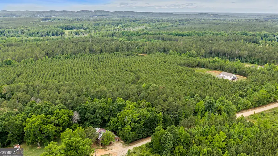 0 Perkins Road, Barnesville, GA 30204 - #2