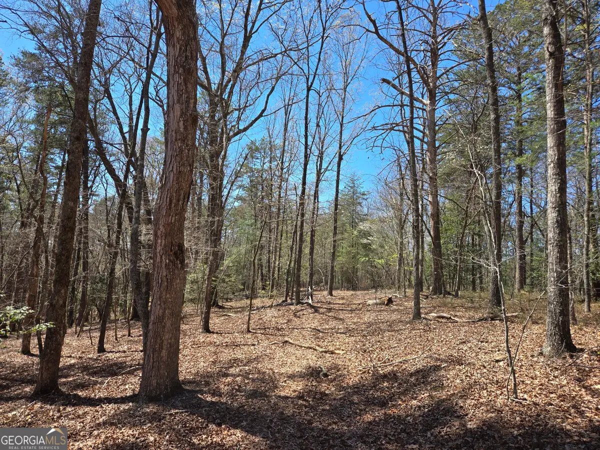 95 Black Bear Trail, Cleveland, GA 30528 - #1