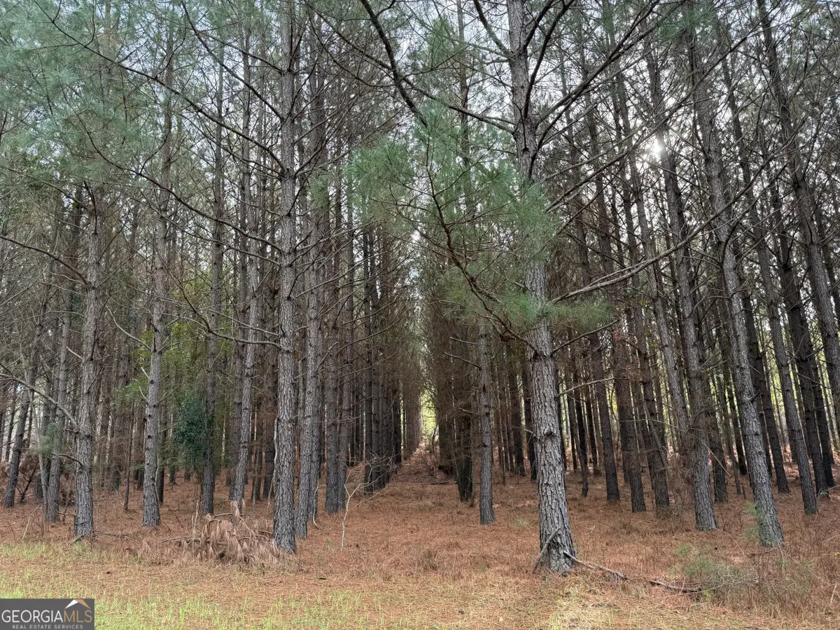 0000 Center Hill School Road, Crawfordville, GA 30631 - #1