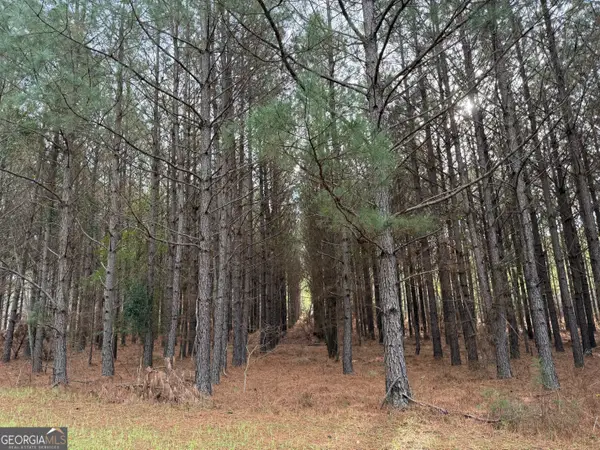 0000 Center Hill School Road, Crawfordville, GA 30631