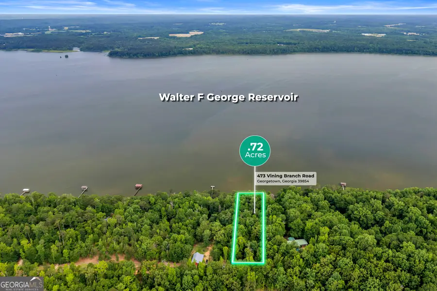 473 Vining Branch Road, Georgetown North, GA 39854 - #2
