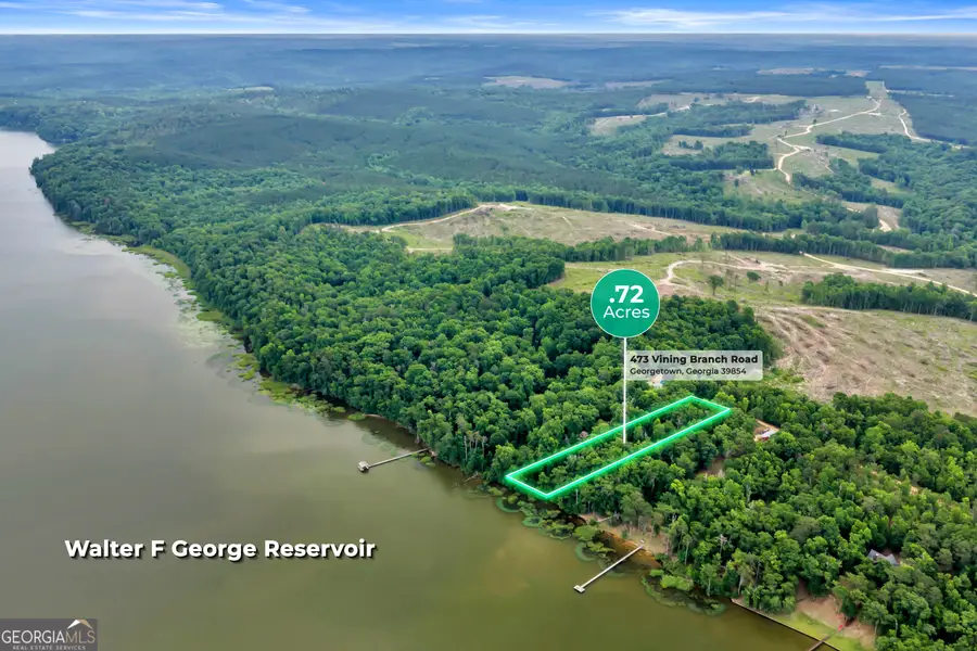 473 Vining Branch Road, Georgetown North, GA 39854 - #3