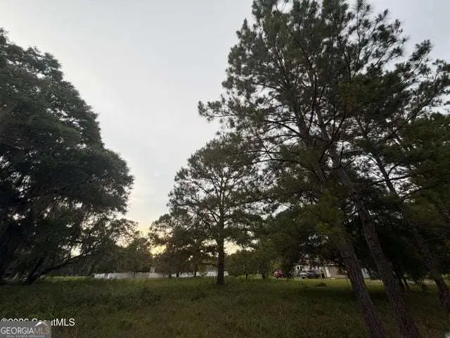 119 Sapelo Circle #LOT 38, Darien, GA 31305 - #2