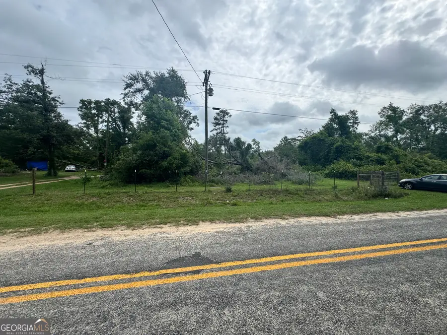844 Dead River Road, Uvalda, GA 30473 - #2
