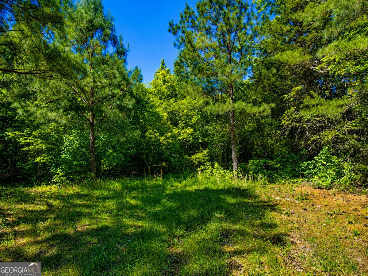 5 ACRES Stanfield Drive, Lafayette, GA 30728 - #1