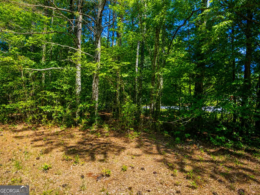 5 ACRES Stanfield Drive, Lafayette, GA 30728 - #3