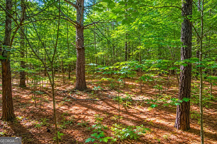 4.48 ACRES Bronco Road, Lafayette, GA 30728 - #2