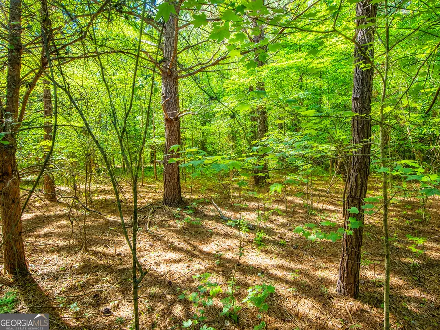 4.48 ACRES Bronco Road, Lafayette, GA 30728 - #3