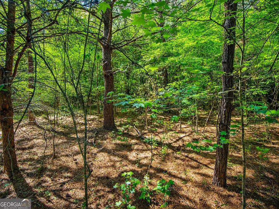 15.06 ACRES Bandy Road, Lafayette, GA 30728 - #2