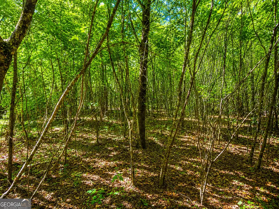15.06 ACRES Bandy Road, Lafayette, GA 30728 - #3