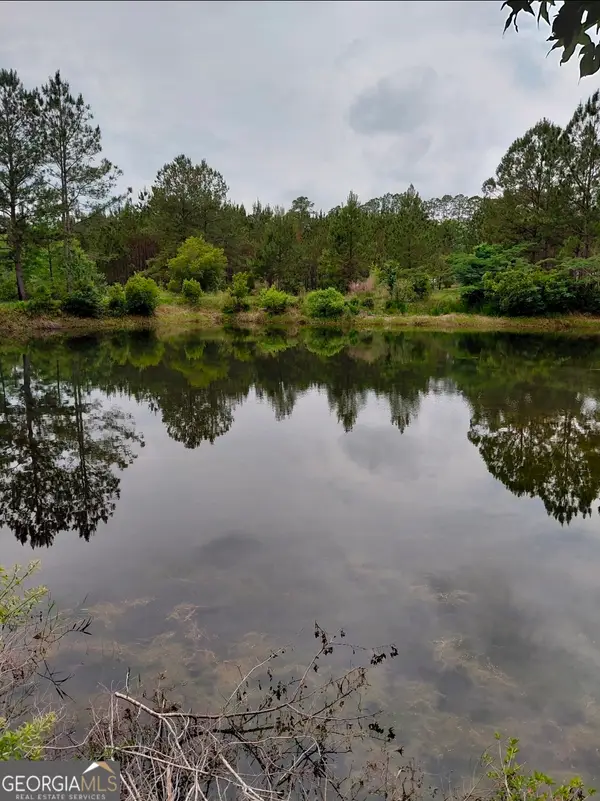 436 Russell Boulevard #ACRES 21.45, Saint George, GA 31562