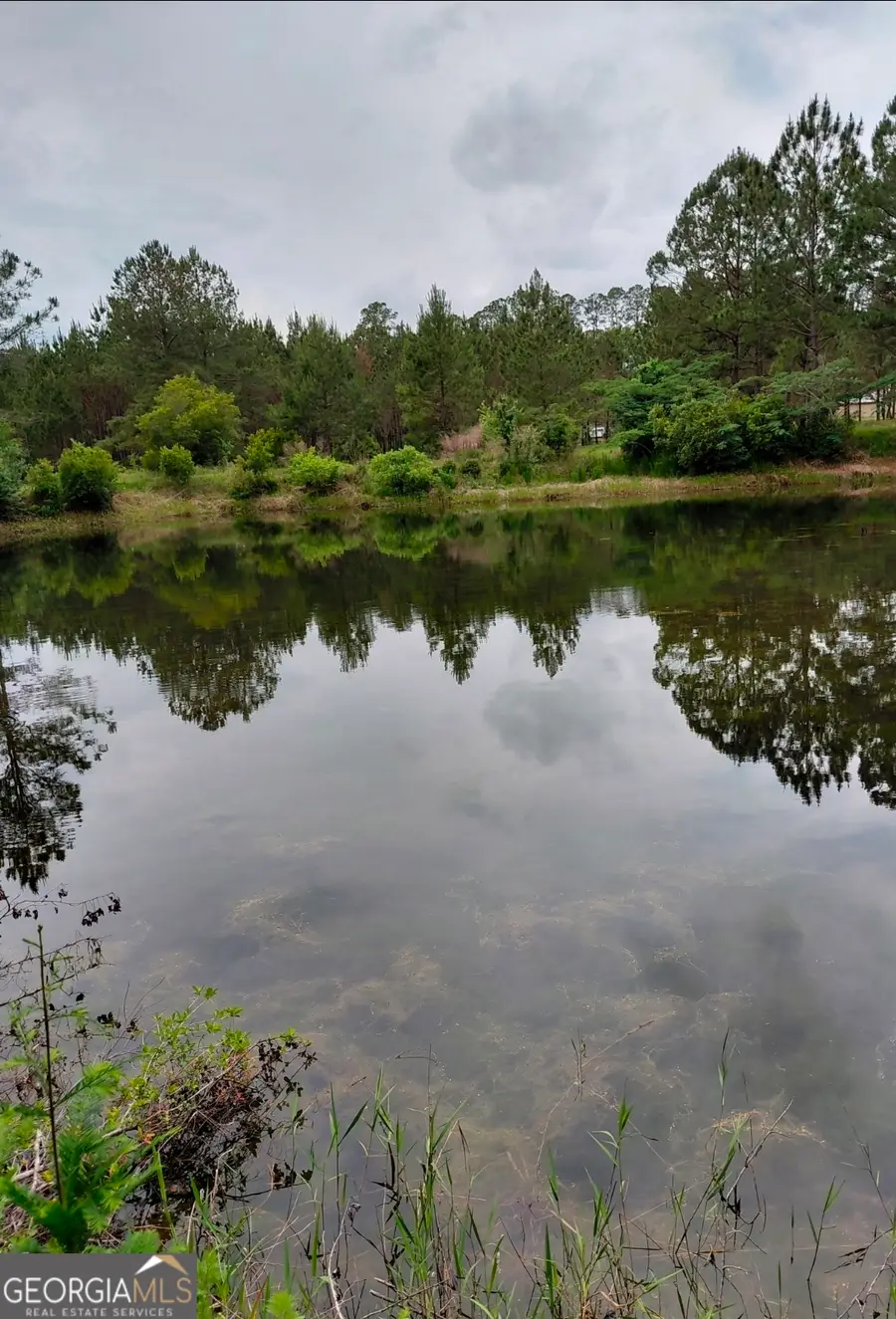 436 Russell Boulevard #ACRES 21.45, Saint George, GA 31562 - #2