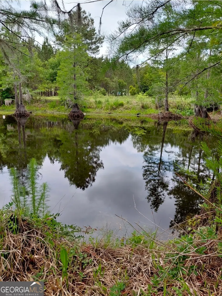 436 Russell Boulevard #ACRES 21.45, Saint George, GA 31562 - #3