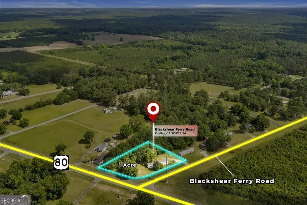 1295 Blackshear Ferry Road, Dudley, GA 31022 - #1