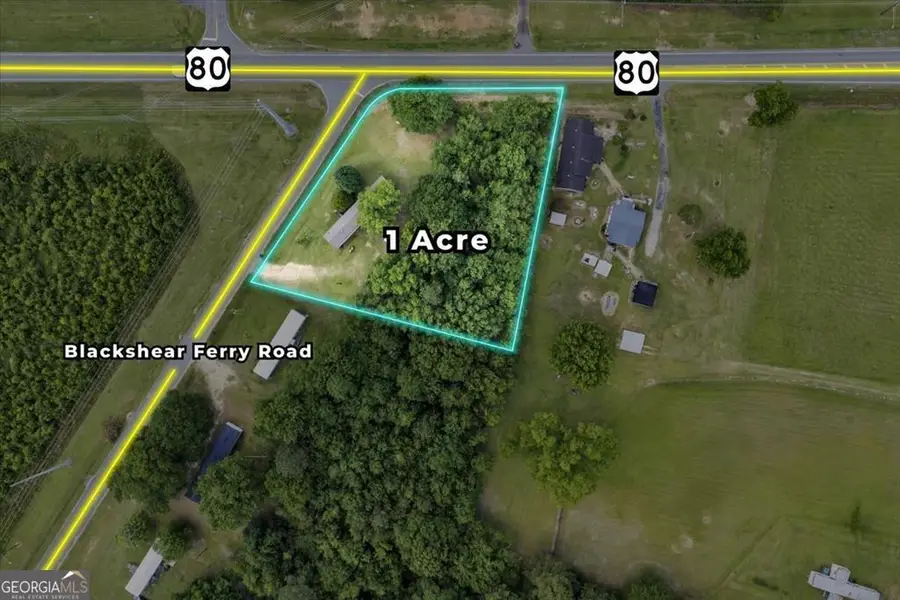 1295 Blackshear Ferry Road, Dudley, GA 31022 - #2