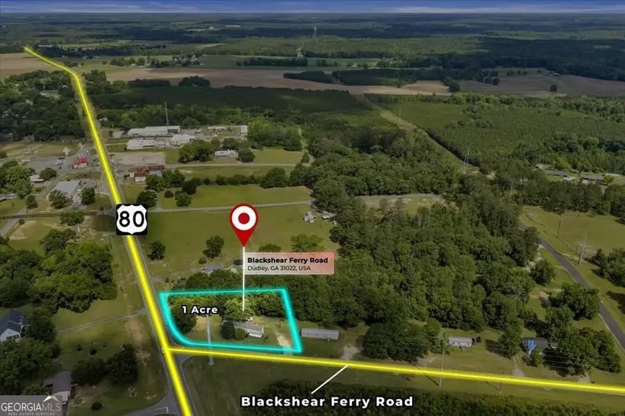 1295 Blackshear Ferry Road, Dudley, GA 31022 - #3