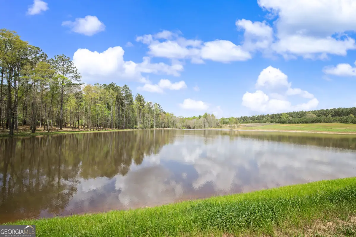 1405 Jones Mill Road, Woodbury, GA 30293 - #1