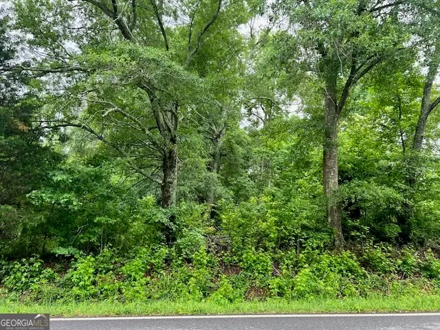1115 Indian Creek Road, Locust Grove, GA 30248 - #1