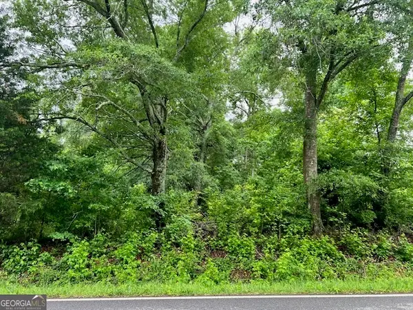 1115 Indian Creek Road, Locust Grove, GA 30248