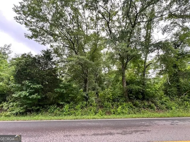1115 Indian Creek Road, Locust Grove, GA 30248 - #3