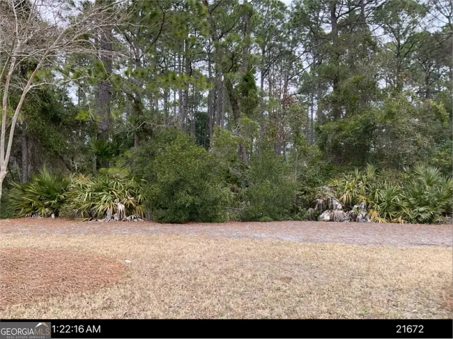 LOT 265 Clubhouse Circle, Saint Marys, GA 31558 - #2