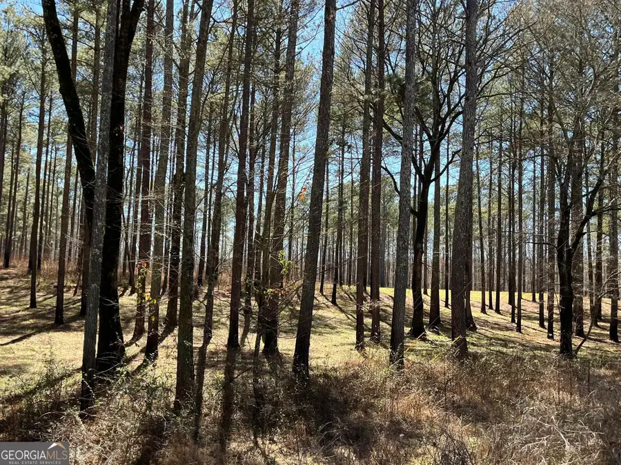 424 Laurel Road, Carrollton, GA 30117 - #2