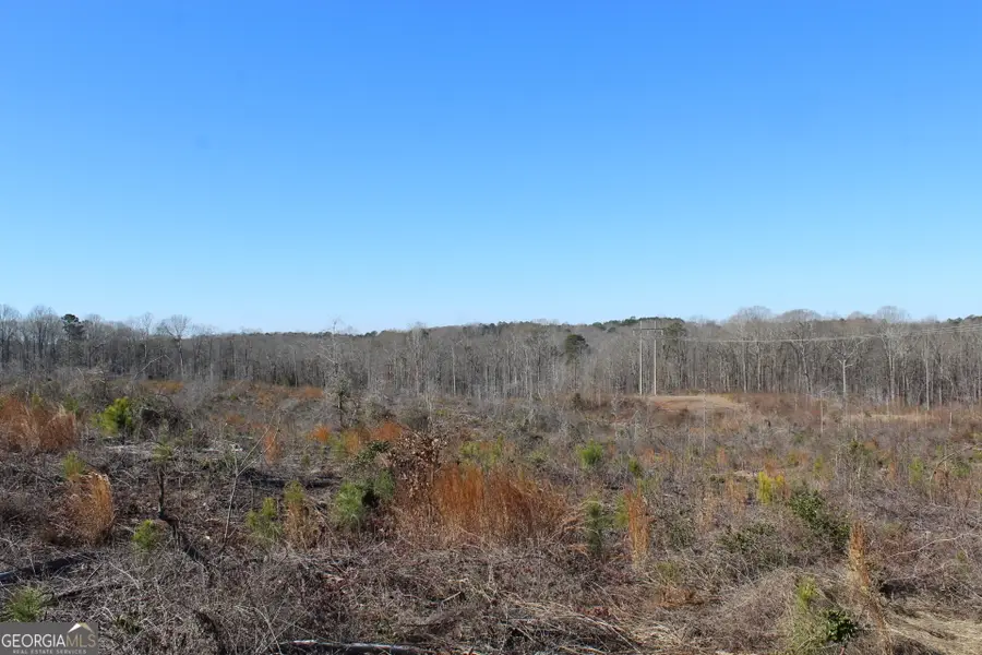 57+/- AC Victory Road, Franklin, GA 30217 - #2