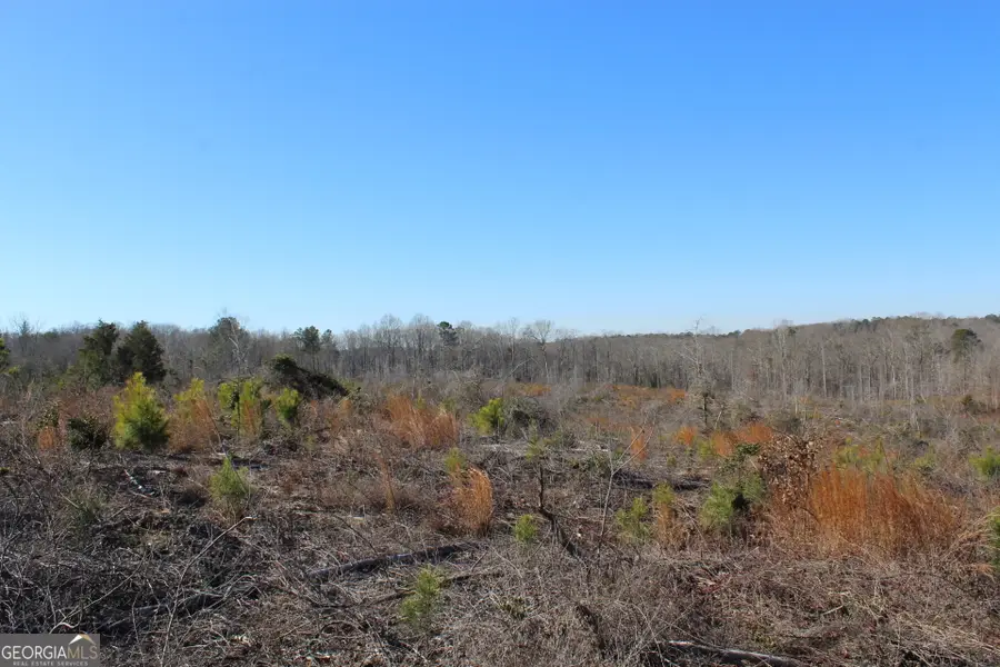 57+/- AC Victory Road, Franklin, GA 30217 - #3