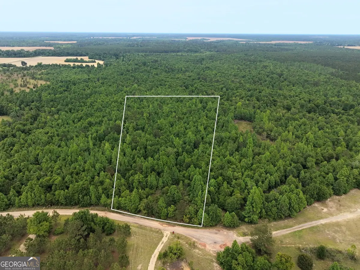 155 Mill Creek Court, Sylvester, GA 31791 - #1