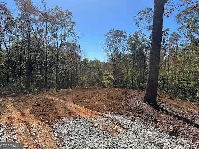 3.71 Yancy Drive, Dawsonville, GA 30534 - #1