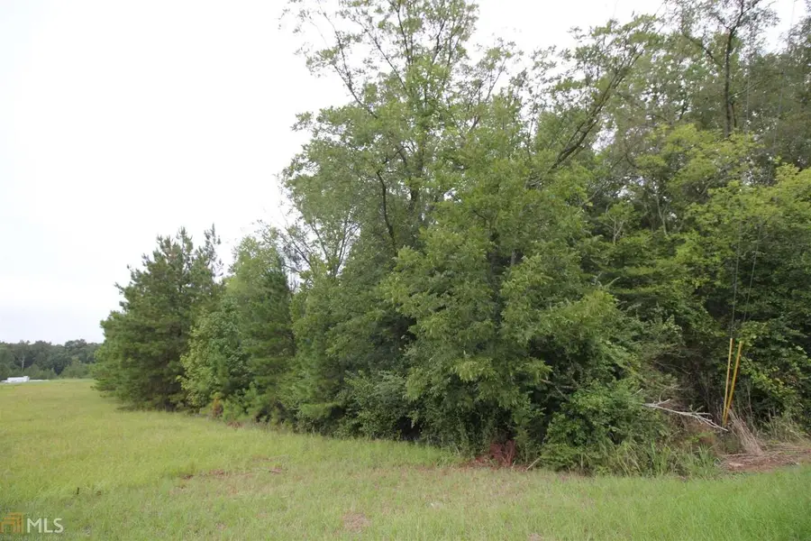 675 Dunlap Road Ne, Milledgeville, GA 31061 - #3