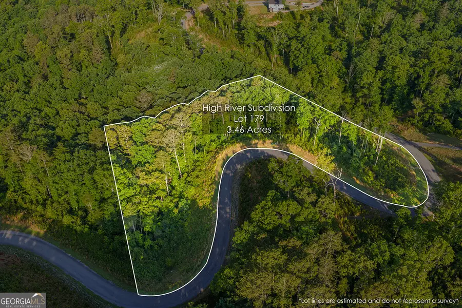 LOT 179 Canoe Point, Ellijay, GA 30540 - #2
