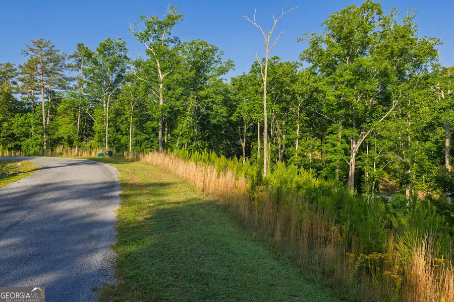 LOT 179 Canoe Point, Ellijay, GA 30540 - #3