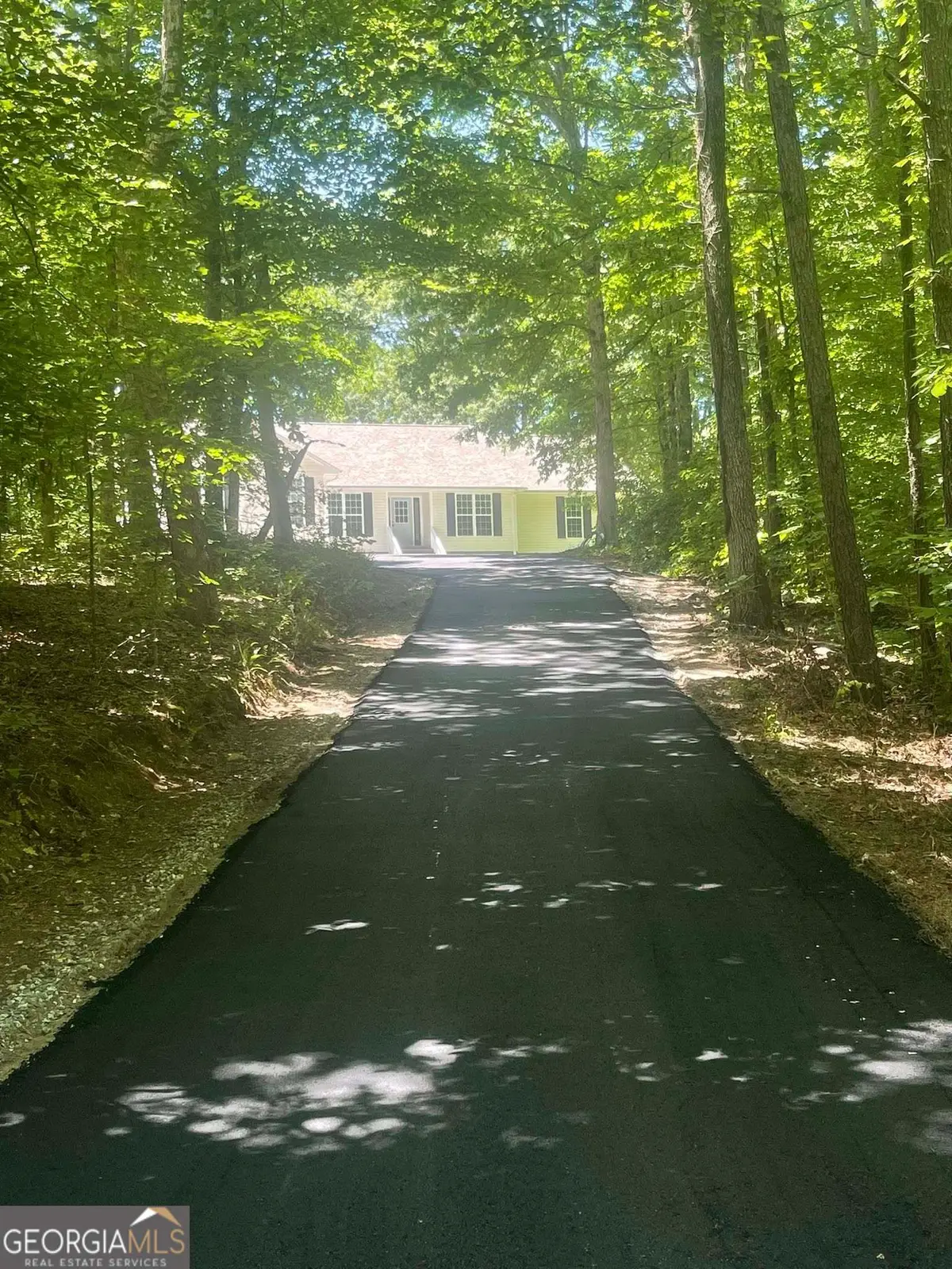 197 Blacks Mill Court, Dawsonville, GA 30534 - #1