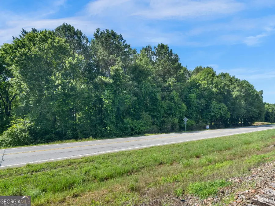 0 Highway 36 W, Barnesville, GA 30204 - #3