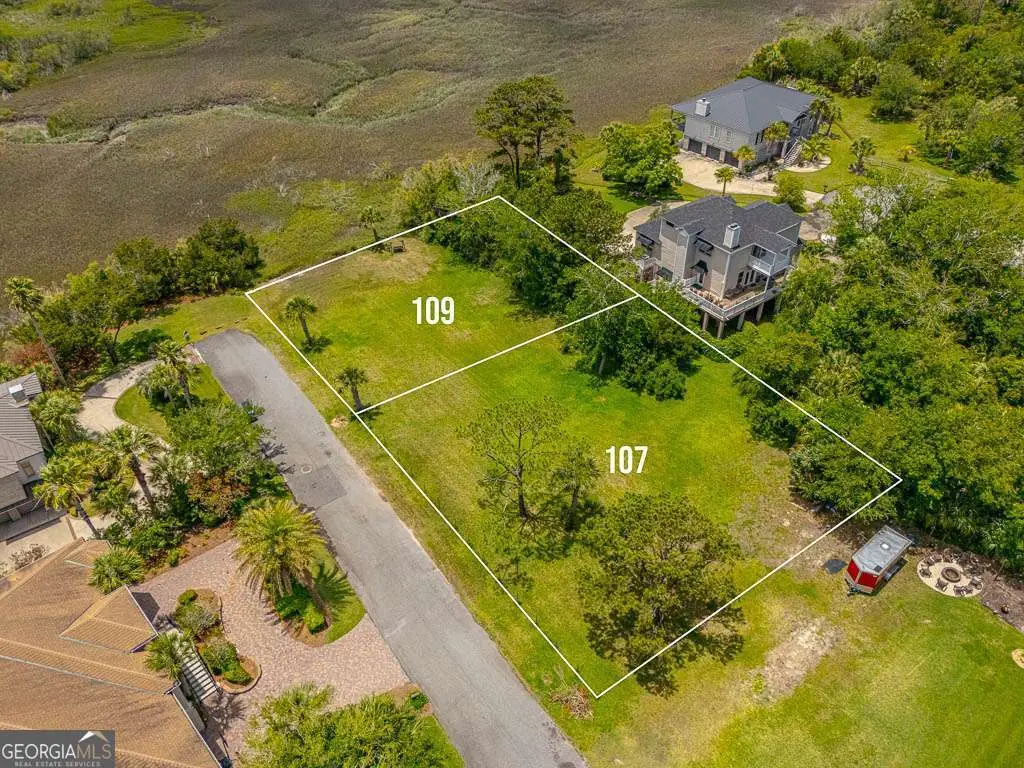 109 Julienton Island Drive, Brunswick, GA 31520 - #1