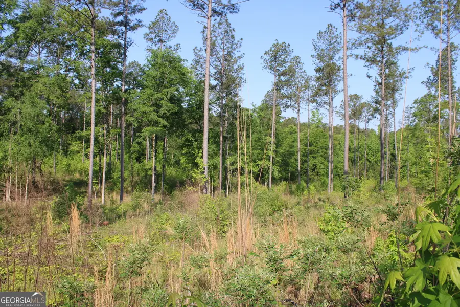 0 Ga Hwy 87 Tract 1, Forsyth, GA 31029 - #3