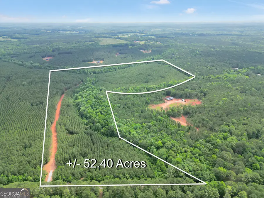 52.4 ACRES Goolsby Road #52.4 ACRES, Monticello, GA 31064 - #2